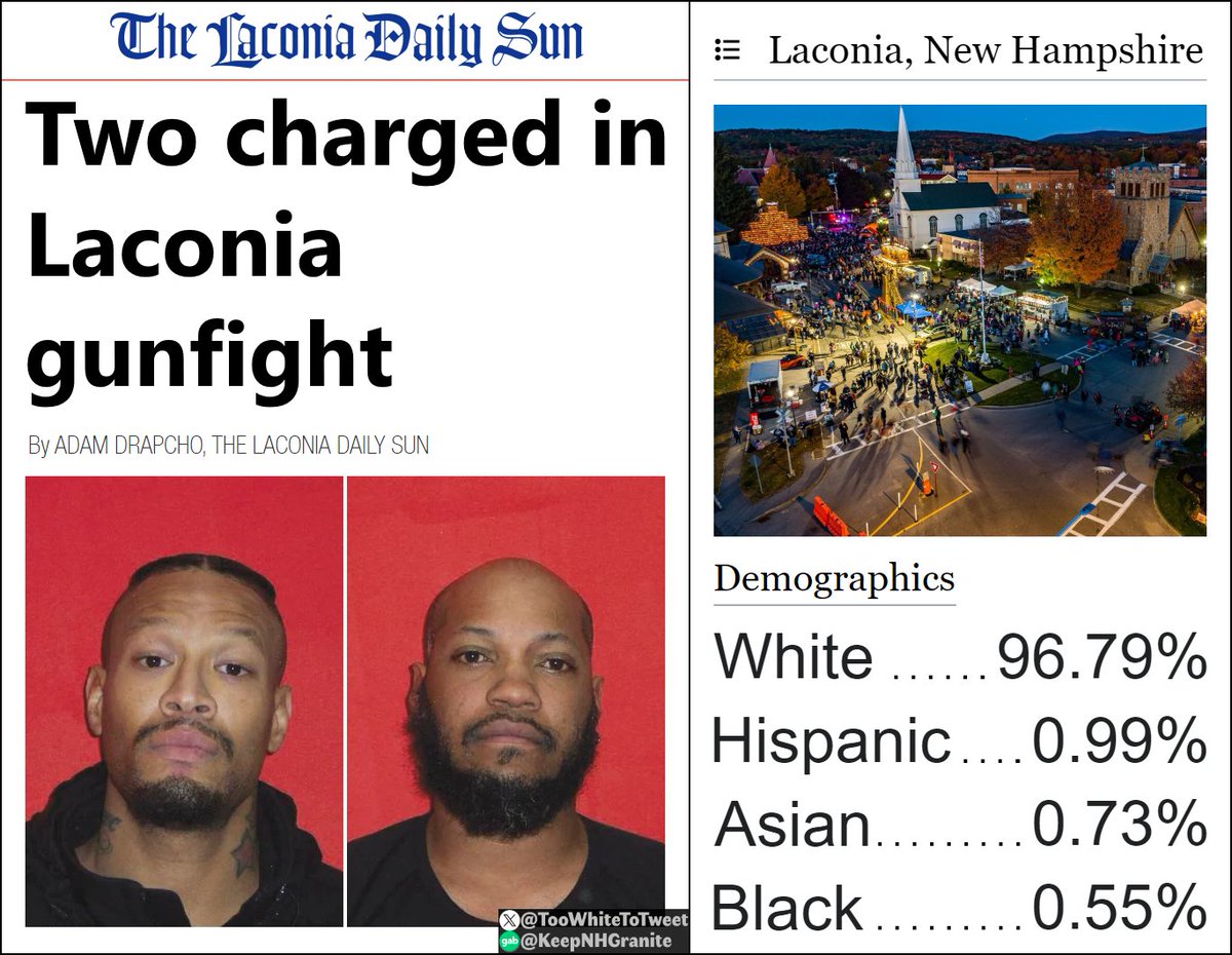 Taka sytuacja: żyjecie sobie w niemal całkowicie homogenicznym rasowo, białym miasteczku (Laconia w stanie New Hampshire). 

Szansa, że spotkacie na swojej drodze murzyna jest w praktyce przyzerowa. 

Pewnego dnia zdarza się uliczna strzelanina. Zapewne pierwsza w udokumentowanej