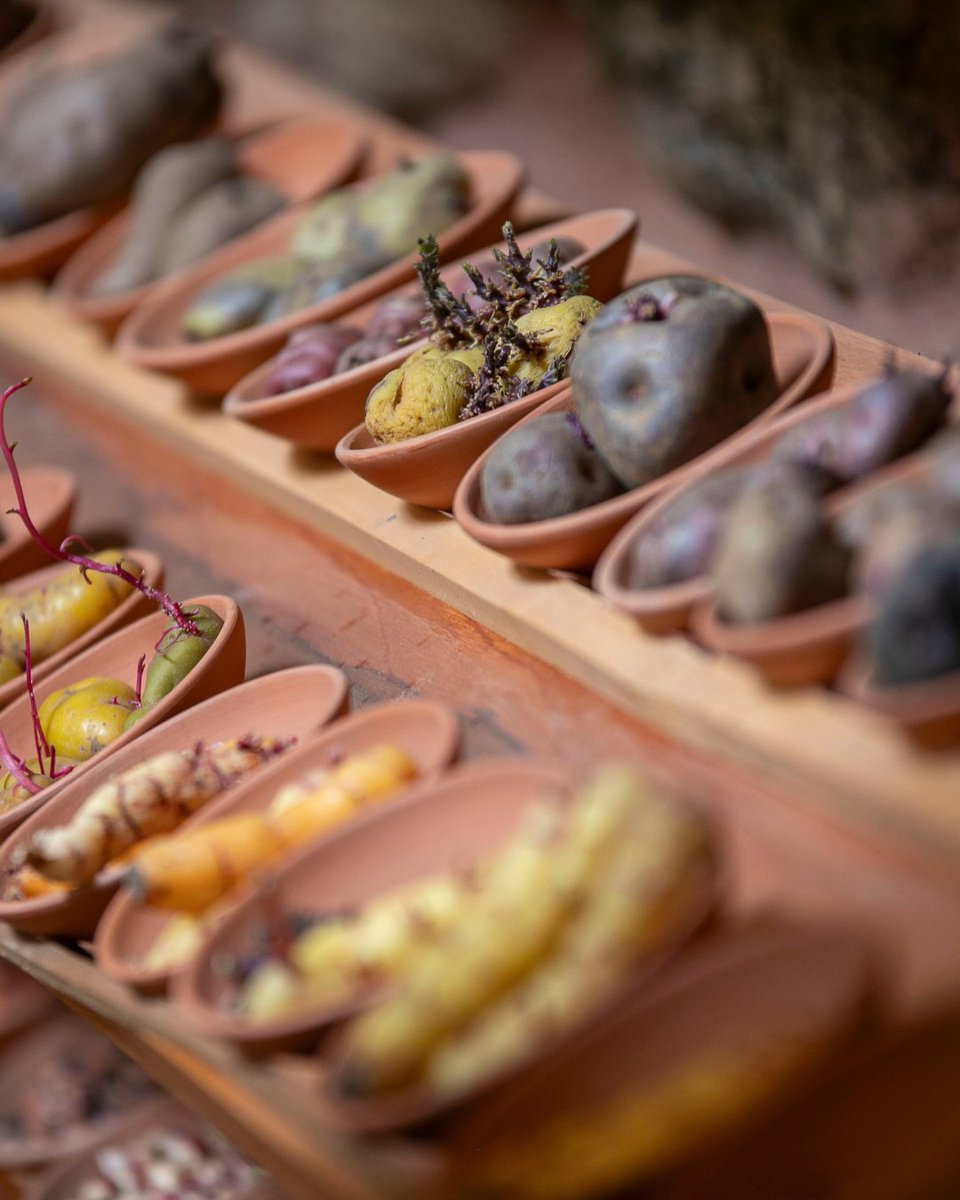 Planeterra tweet media