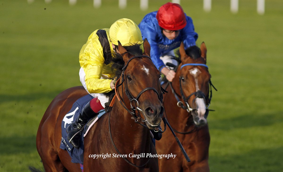 Steven Cargill (@steven_cargill) on Twitter photo 3rd win for 4yo c ALMAQAM <a href="/oismurphy/">Oisín Murphy</a> in 10f G3 Brigadier Gerard Stakes <a href="/Sandownpark/">Sandown Park</a> last night for <a href="/BallylinchStud/">BallylinchStud</a> Lope De Vega <a href="/edwalkerracing/">Ed Walker Racing</a> 3rd win for 4yo c ALMAQAM <a href="/oismurphy/">Oisín Murphy</a> in 10f G3 Brigadier Gerard Stakes <a href="/Sandownpark/">Sandown Park</a> last night for <a href="/BallylinchStud/">BallylinchStud</a> Lope De Vega <a href="/edwalkerracing/">Ed Walker Racing</a>