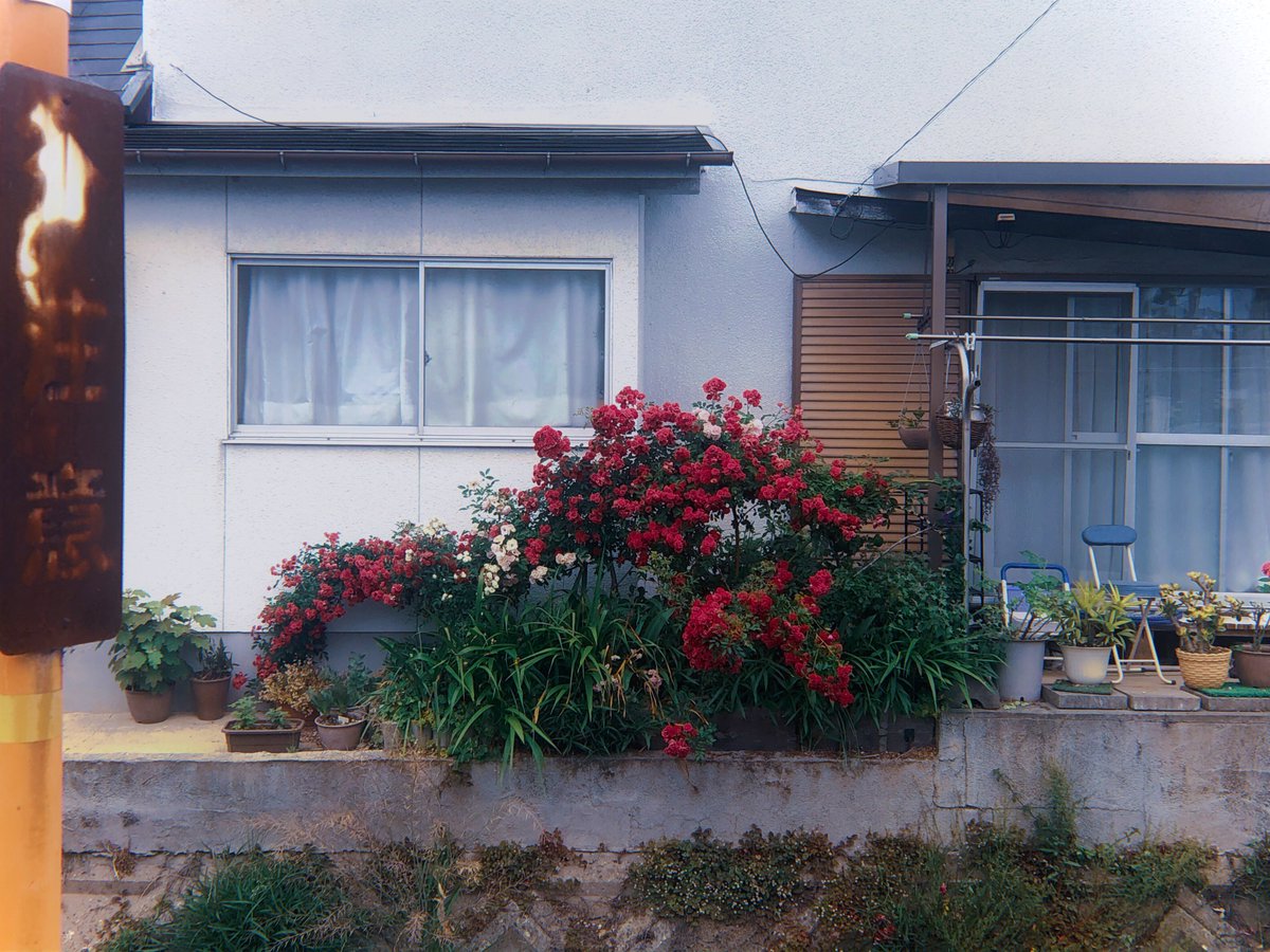 調子 (@nbfaqldnuvdcd0o) on Twitter photo 