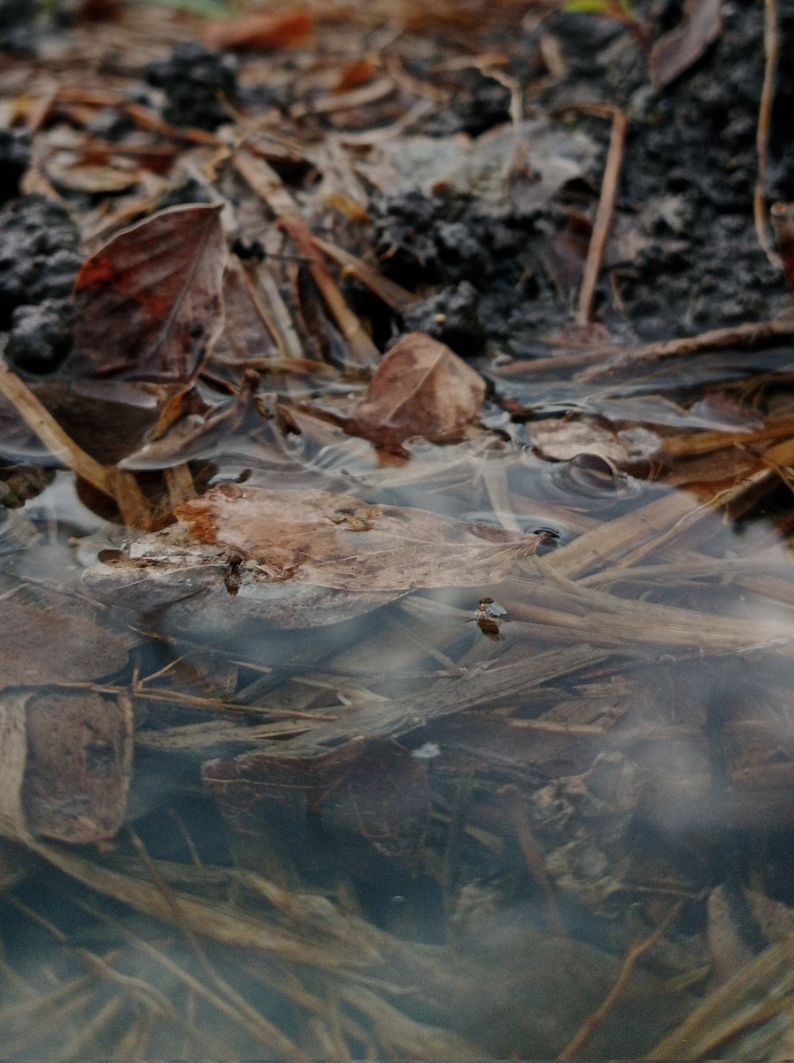 あそこは、
本当に
いいでしょか?