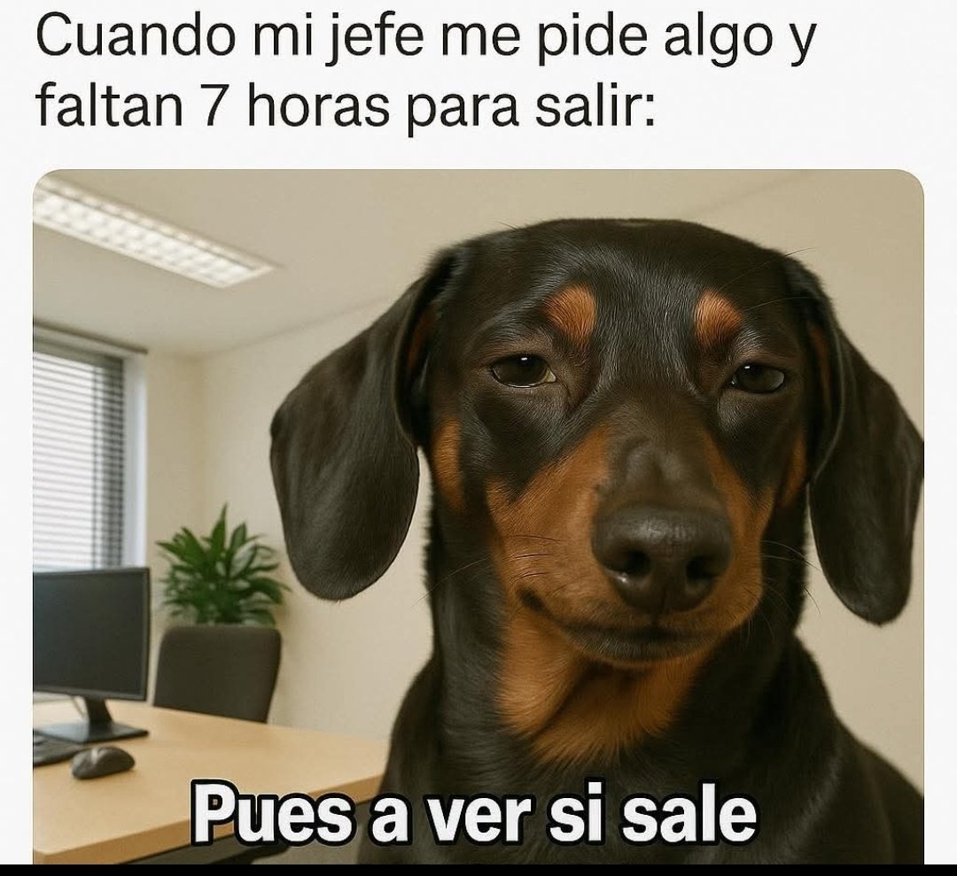 jpabora's tweet photo. @Eldiamantenegro https://t.co/YdD4nbWReW
