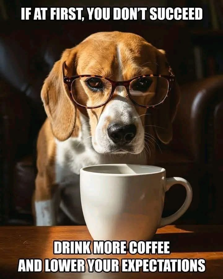 Good morning world!!☕️✌️🏼☕️