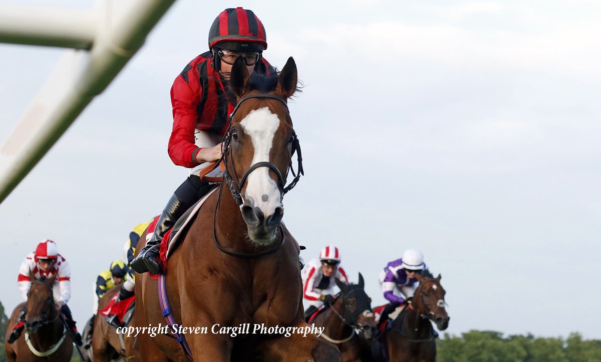 Steven Cargill (@steven_cargill) on Twitter photo 8th win for 9yo g HAFEET ALAIN (Elzaam) in 8f handicap <a href="/Sandownpark/">Sandown Park</a> last night for <a href="/edwalkerracing/">Ed Walker Racing</a> 8th win for 9yo g HAFEET ALAIN (Elzaam) in 8f handicap <a href="/Sandownpark/">Sandown Park</a> last night for <a href="/edwalkerracing/">Ed Walker Racing</a>