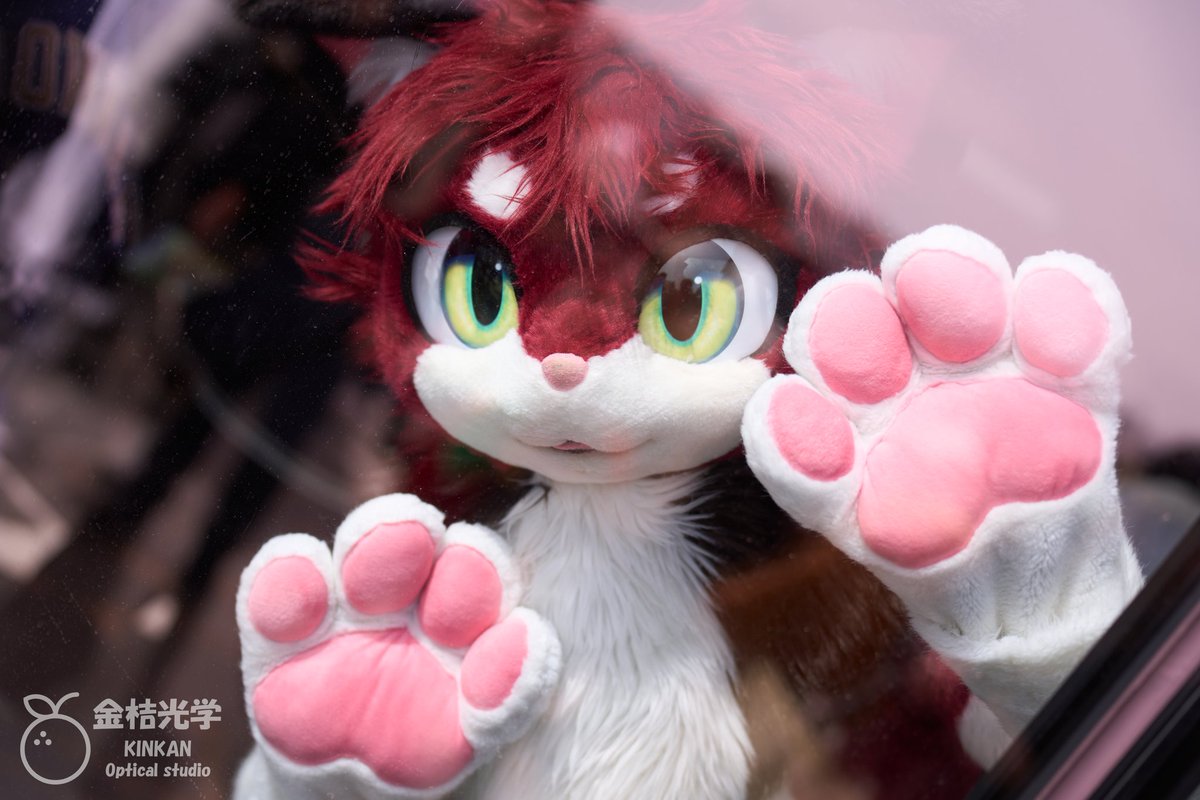 Mirrored Dream
📷:<a href="/LittleApplecat/">Gomeow·金桔·柠檬茶</a>
#FursuitFriday
