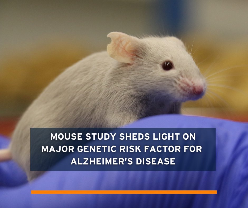 The apolipoprotein E (APOE) gene is a major genetic #risk factor for #Alzheimer’s disease. APOE type differentially affects disease risk by regulating #microglia, the #brain's #immune cells according to new study.

doi.org/10.1038/s41467…
#AnimalResearch #AnimalTesting