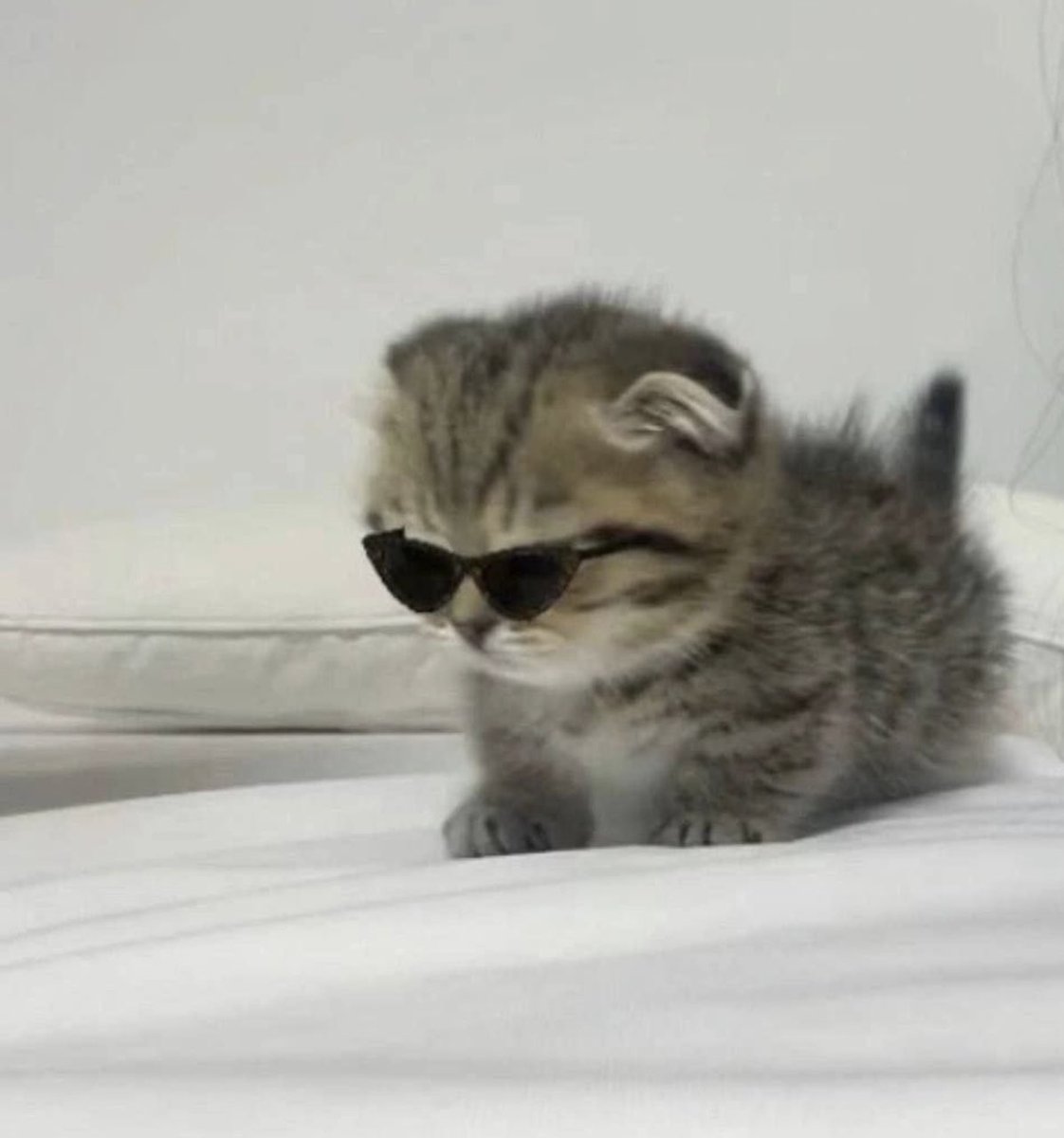 YellowsLight_'s tweet image. Happy Freaky Friday

Twitch.tv/yellowslight