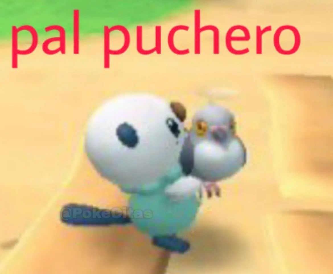 chincheto pirata somali tweet media