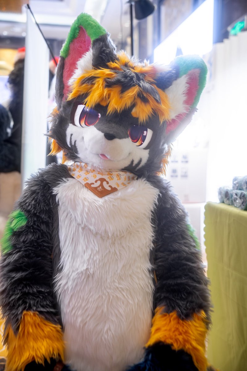#FursuitFriday
I will keep missing you on every day that I can't see you.
我会在每一个见不到你的日子里保持想念。