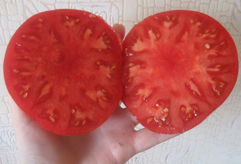 Люблю весну канешна
Помидоры как яблоки сука