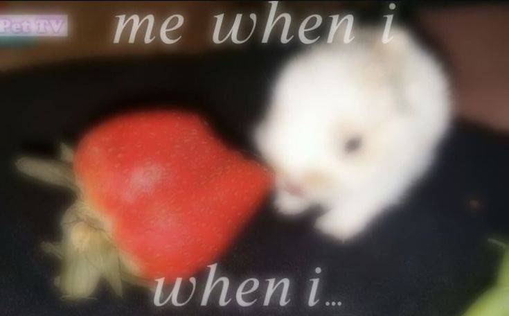 lars (@redbullabuser) on Twitter photo 