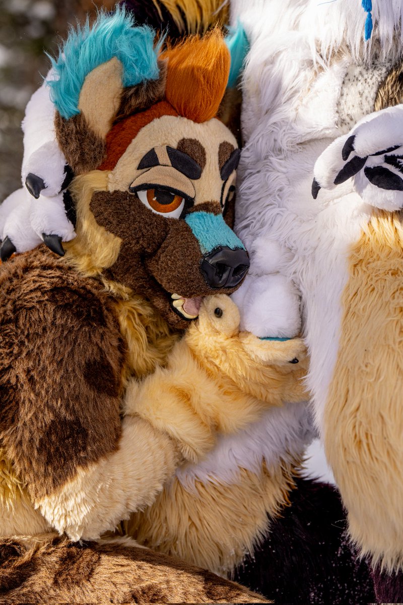 Pup Mylo | Lyam π LVFC (@pup_mylo) on Twitter photo Make sure to hold and keep your friends balls warm when needed, they'll appreciate it π
π₯: <a href="/RivanRunsWild/">Rivan π)β(</a>
πΈ: <a href="/KooperShiba/">ππππππ π</a>
#furry #furries #fursuit Make sure to hold and keep your friends balls warm when needed, they'll appreciate it π
π₯: <a href="/RivanRunsWild/">Rivan π)β(</a>
πΈ: <a href="/KooperShiba/">ππππππ π</a>
#furry #furries #fursuit