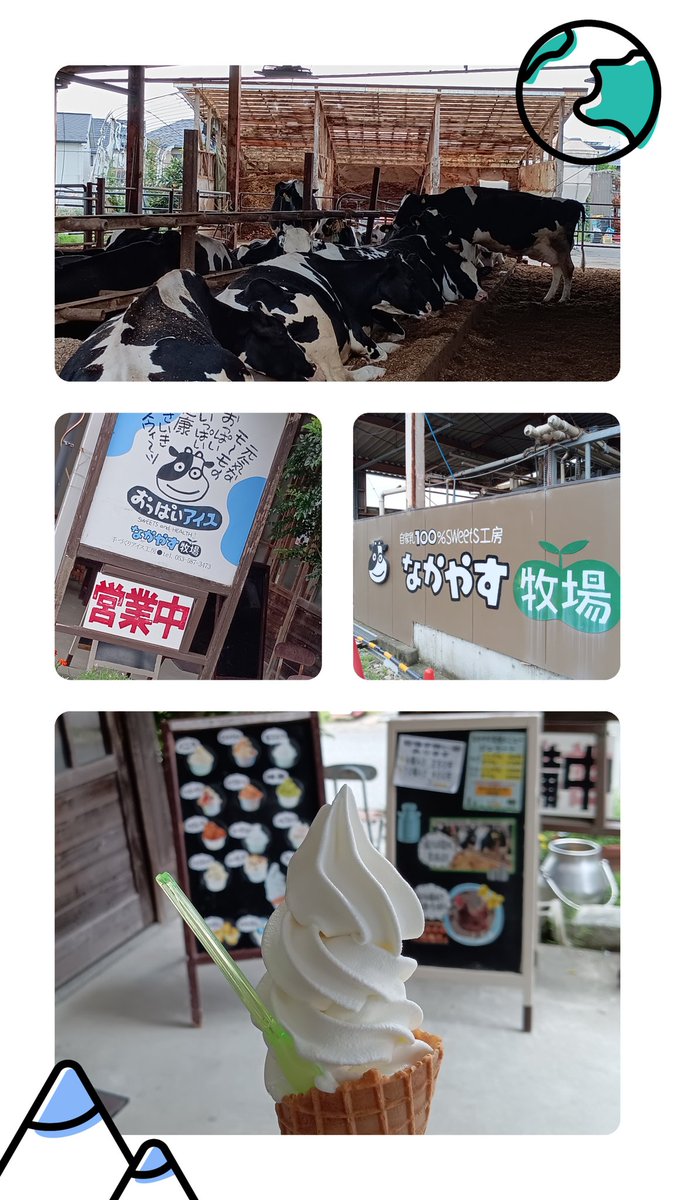 coropiyo7's tweet image. 静岡県浜松市にある「なかやす牧場」
牛さんたちは清潔な牛舎の中でリラックス🐮♪
搾りたての牛乳で作ったソフトクリーム、ジェラート（塩ミルク味）と産みたて卵で作ったプリン、とても美味しかったです😊
久々の投稿ですが、変わらず毎日牛乳や乳製品頂いています😊
#牛乳でスマイルプロジェクト