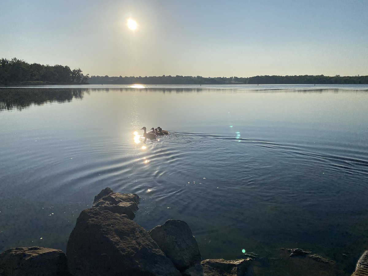 THellhake's tweet photo. .@JacksonCountyMO #LongviewLake “Friyay” sunrise ☀️ @KSHB41 https://t.co/97jLFdspJ0