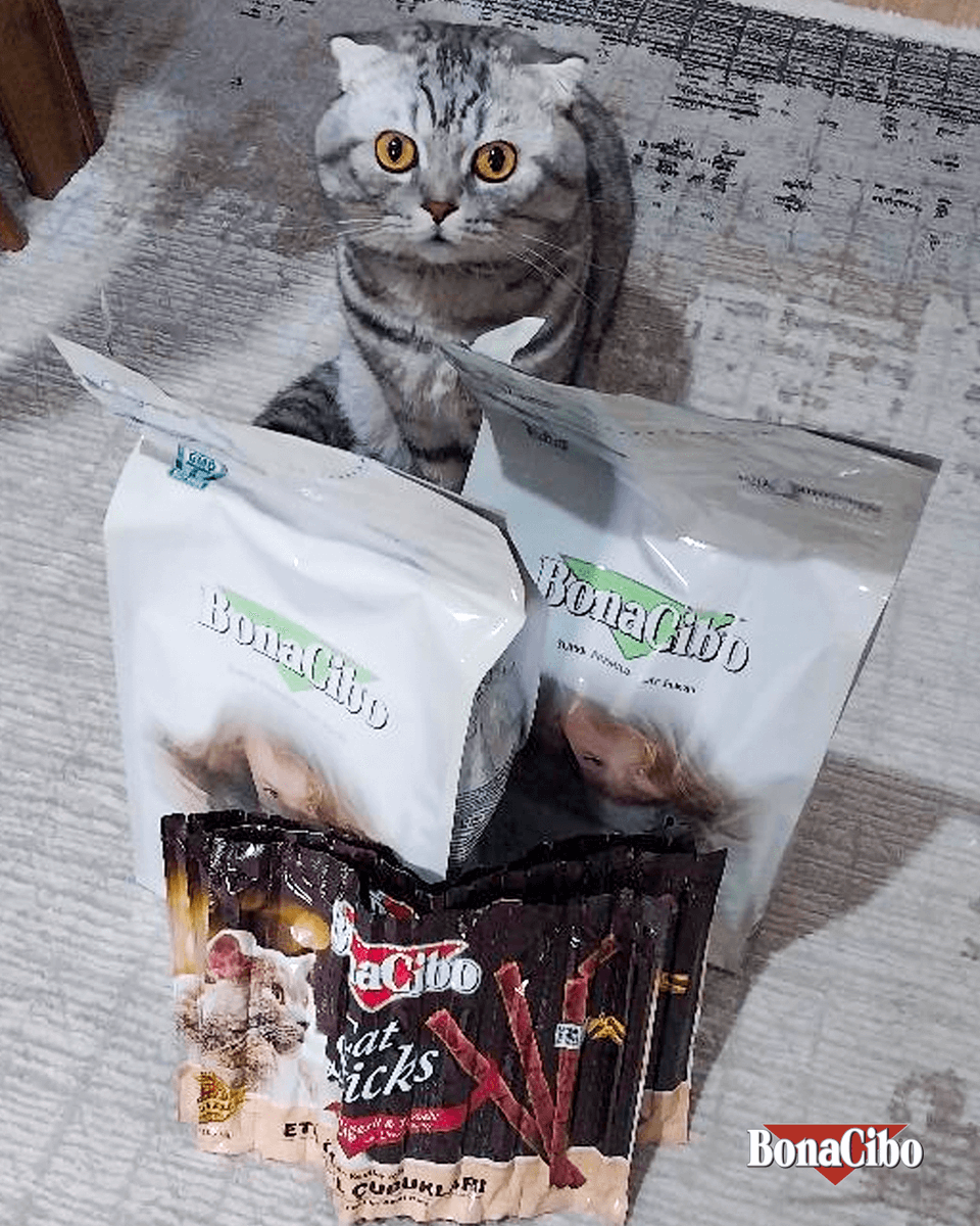 Bonacibo Cat & Dog Food (@bonacibo) on Twitter photo 