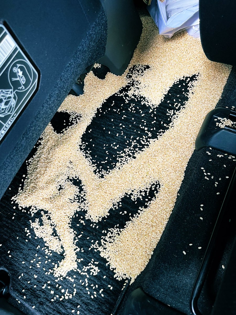 精米したてのお米を車の中にぶちまけてしまいました😭😭
精米後すぐはお米が温かいので、米袋の封を閉じるのを躊躇ったのがいけません…、写真に映る3倍くらいぶちまけています😭😭