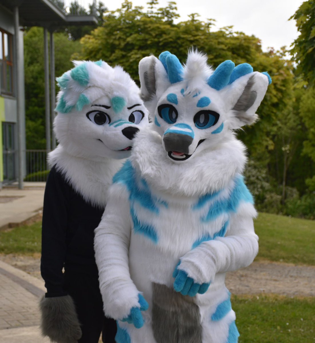 #FursuitFriday is #CoupleFriday? I love the vibe of this pic with my lovely husband <a href="/SnauwF/">Snauwflake</a> 🥰 The weather was for once perfect to wear our fursuits together!

📸: Ruby

#fursuit #furry #fursuiter #fursuits #FursuitEveryday