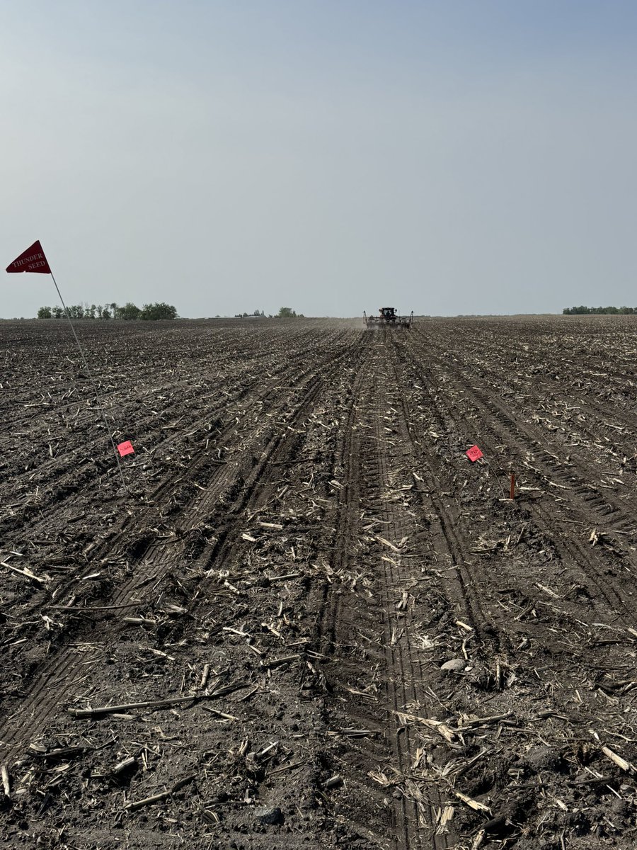 Jesse Bernard (@jebber11) on Twitter photo Another successful silage plot in the ground. Thanks <a href="/nielsenseeds/">Soren Nielsen</a> for setting this up! #firstinthefield <a href="/thunder_seed/">Thunder Seed</a> Another successful silage plot in the ground. Thanks <a href="/nielsenseeds/">Soren Nielsen</a> for setting this up! #firstinthefield <a href="/thunder_seed/">Thunder Seed</a>