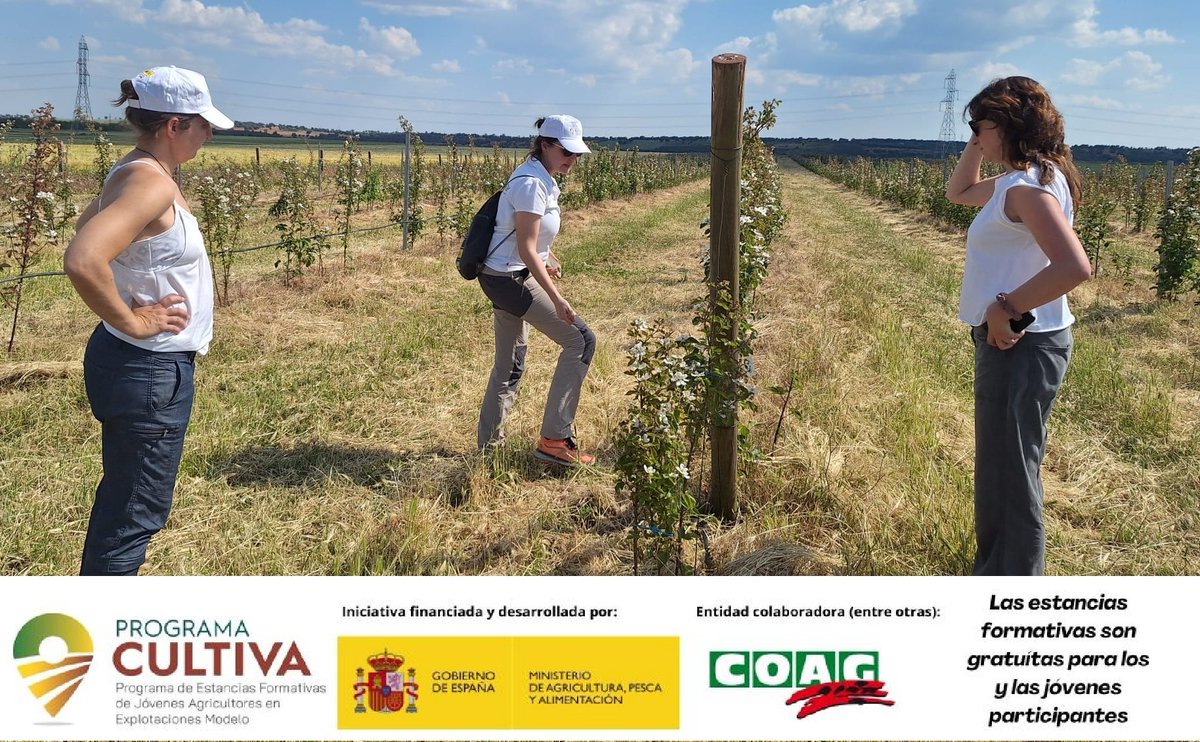 COAG CyL (@coagcyl) on Twitter photo Finaliza la estancia formativa 80.1 del #ProgramaCultiva en #AlmendradelPan en #Zamora, Elena Marquina de #Huelva ha vivido una experiencia enriquecedora de la mano de <a href="/Agroberry_N/">Agroberry Original from Zamora</a> #zarzamora
➕ℹ️
👉acortar.link/sbV8CS
👉acortar.link/SZP4P0
<a href="/mapagob_/">Ministerio de Agricultura, Pesca y Alimentación</a>
<a href="/La_COAG/">COAG</a>
<a href="/CoagCyl/">COAG CyL</a> Finaliza la estancia formativa 80.1 del #ProgramaCultiva en #AlmendradelPan en #Zamora, Elena Marquina de #Huelva ha vivido una experiencia enriquecedora de la mano de <a href="/Agroberry_N/">Agroberry Original from Zamora</a> #zarzamora
➕ℹ️
👉acortar.link/sbV8CS
👉acortar.link/SZP4P0
<a href="/mapagob_/">Ministerio de Agricultura, Pesca y Alimentación</a>
<a href="/La_COAG/">COAG</a>
<a href="/CoagCyl/">COAG CyL</a>