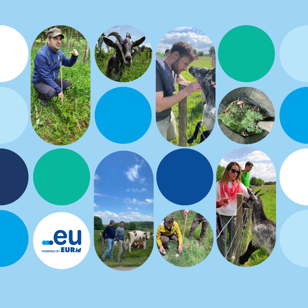 EURid (@euregistry) on Twitter photo As part of our @EMAS certification 💚 and ongoing commitment to environmental sustainability, we’re proud to support two impactful projects in Suxy and Prouvy. Part of our team <a href="/Geo_VL/">Geo Van Langenhove</a> , Julie, and Sam visited them in mid-May 🌳🐑 #doteu #greentech As part of our @EMAS certification 💚 and ongoing commitment to environmental sustainability, we’re proud to support two impactful projects in Suxy and Prouvy. Part of our team <a href="/Geo_VL/">Geo Van Langenhove</a> , Julie, and Sam visited them in mid-May 🌳🐑 #doteu #greentech