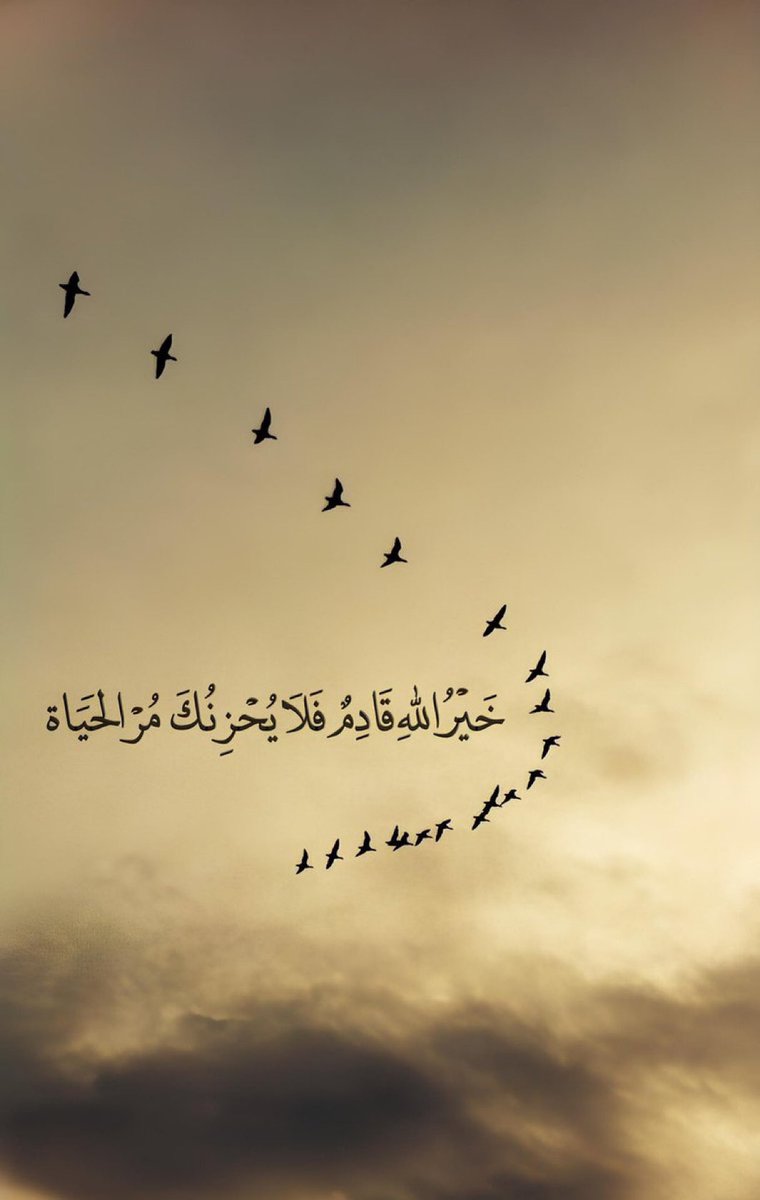 خالد بن نغيمش (@k_s_a_503) on Twitter photo 