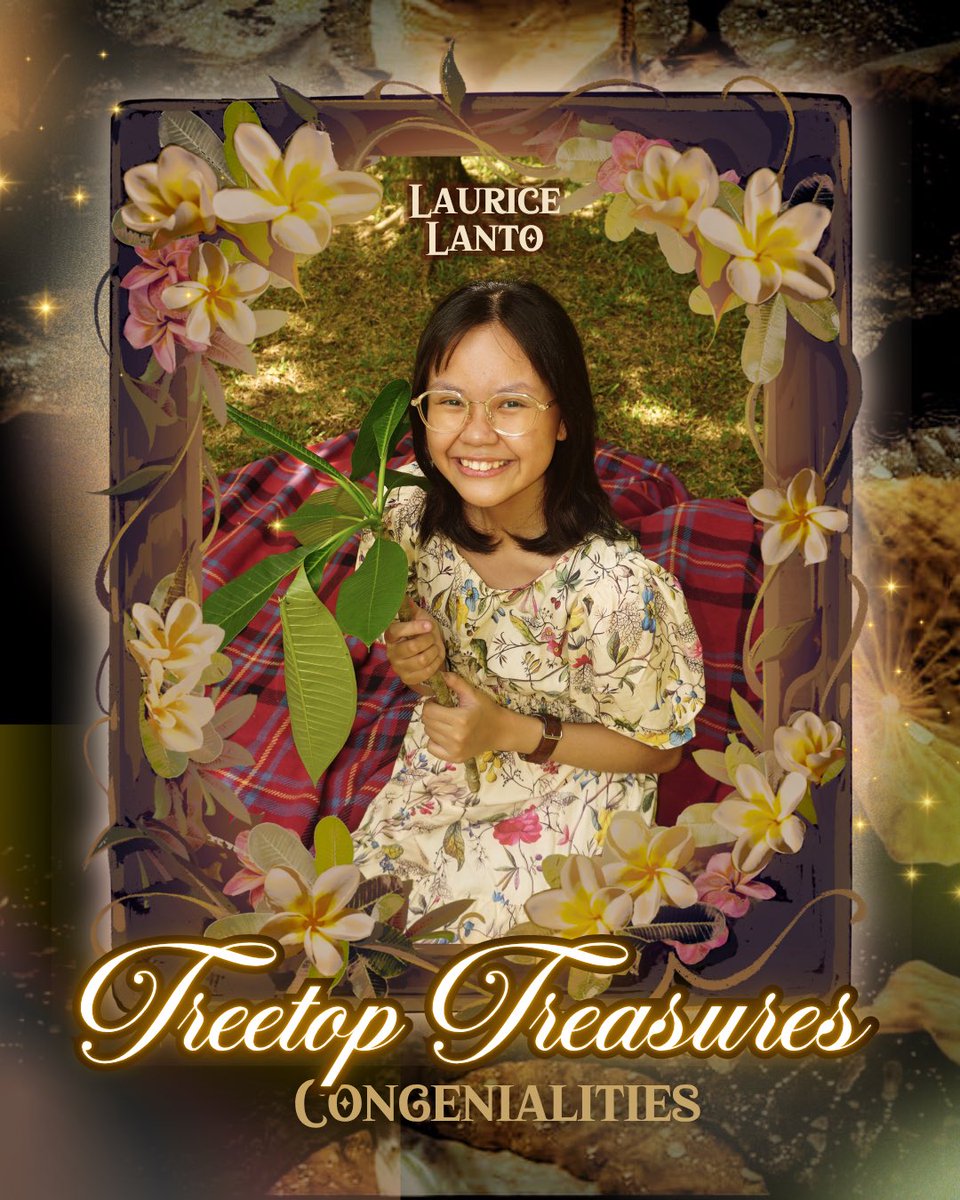 Plumeria Lane 2025 tweet media