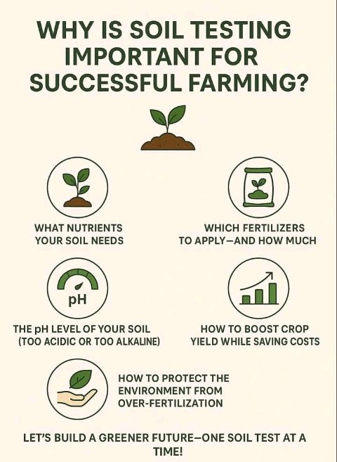 UwicyizaAnaclet's tweet photo. Farm smarter, not harder! 🚜 Ever tested your soil?
Our image highlights why #SoilTesting is critical for #SuccessfulFarming:
🎯 Pinpoint nutrient needs
💰 Save on fertilizer
⚖️ Balance soil pH
📈 Boost crop yields
🌍 Protect the environment
It's the foundation of
#GreenFarming! https://t.co/Ek464o7YsZ