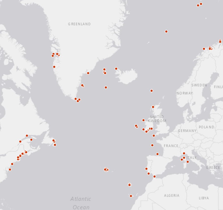 EurOBIS_VLIZ's tweet image. #NewDataset
Happywhale - Fin whale in North Atlantic Ocean
> 232 occurrences
> #Balaenopteridae
available via eurobis.org/imis?module=da…
@VLIZnews @EMODnet #Biology @OBISNetwork