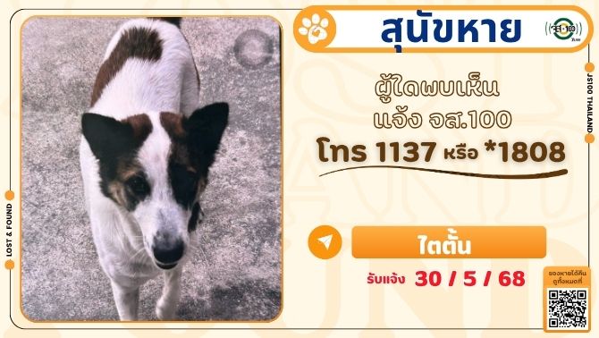 js100radio's tweet photo. สุนัขหายจากซ.วชิรธรรมสาธิต 57 แยก 1 เขตพระโขนง ผู้ใดพบเห็นแจ้ง JS100 โทร *1808 หรือ 1137
https://t.co/DLgrD4QxPB https://t.co/LJ6HzRHL84