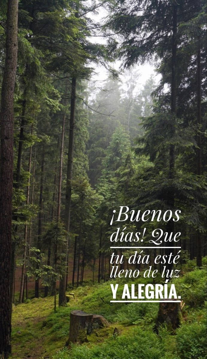 Ya está aquí don viernes🥳 último día de trabajo, que este lleno de espectativas y al término del día sea todas cumplidas👍💪👌
 Buena jornada gente linda🍀
Que este frío con ☕️🧉🥛🍶
🎶🎶♥️🎶🎶