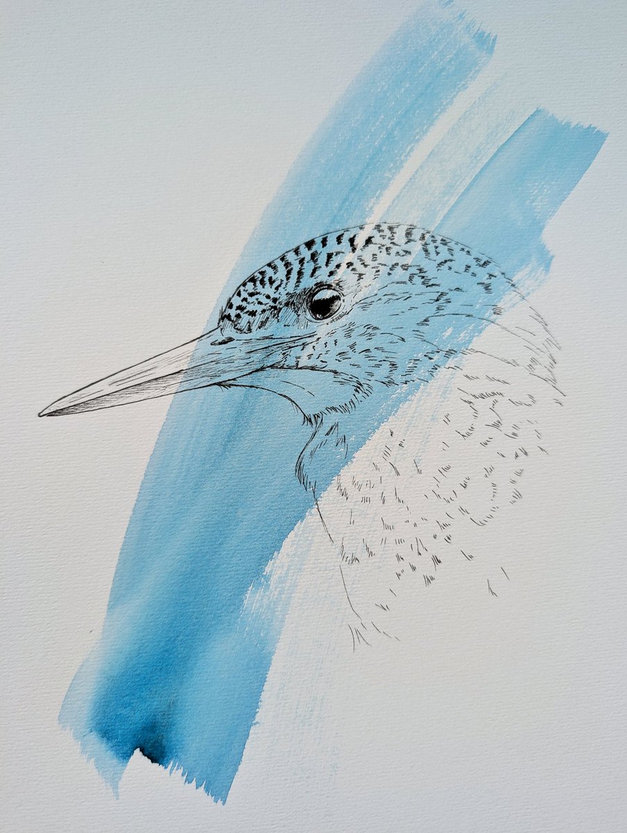 Vanmiddag gaan er bestellingen op de post. 

Heb je al een kijkje genomen in de sale? Je vindt er deze ijsvogel en er staat weer nieuw werk in!

vanjojan.nl/sale

Met code ZOMER krijg je nog 15% korting op de rest van het aanbod in mijn webshop. Ook op origineel werk.