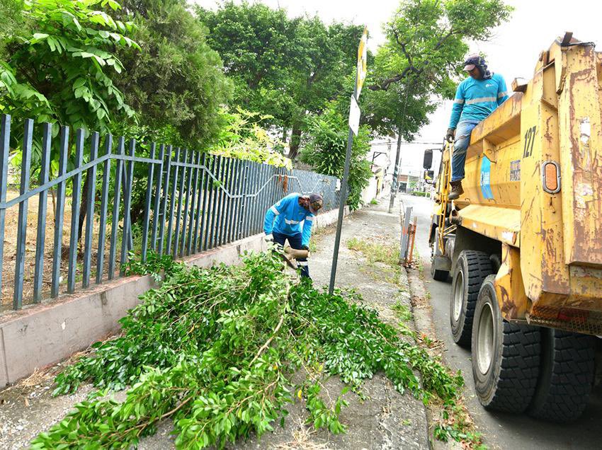 INTERVENCIÓN INTEGRAL PARA EL BIENESTAR DE TODOS

Llevamos una jornada integral de limpieza, fumigación y desratización en las etapas I, II y III de La Alborada, beneficiando directamente a más de 800 habitantes del sector. Esta acción, coordinada por la Dirección de Salud tras
