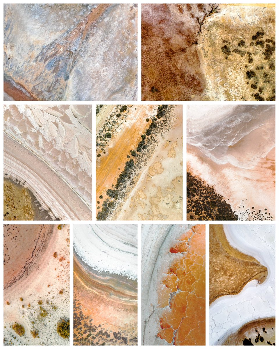 Photography is Art. 🖼️