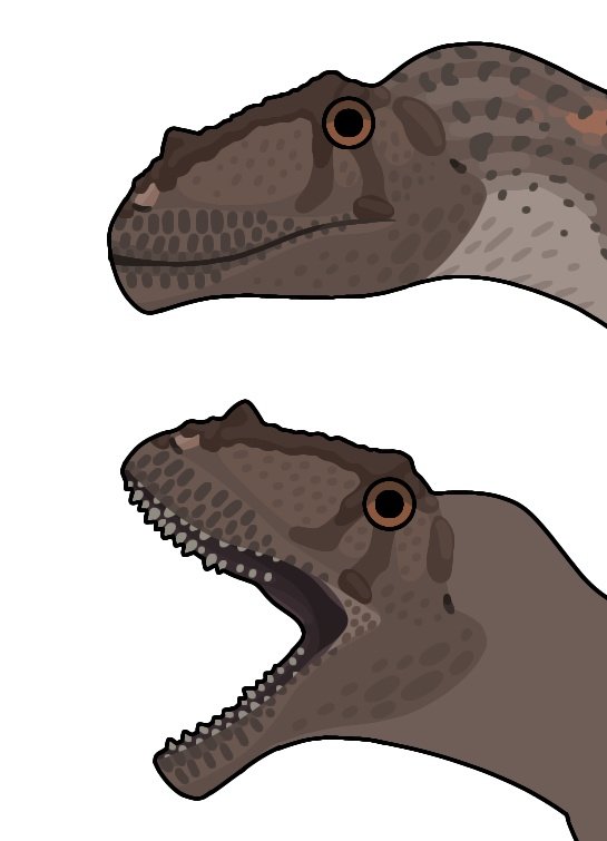 paleoii's tweet image. 😐😯😐😯😐😯😐