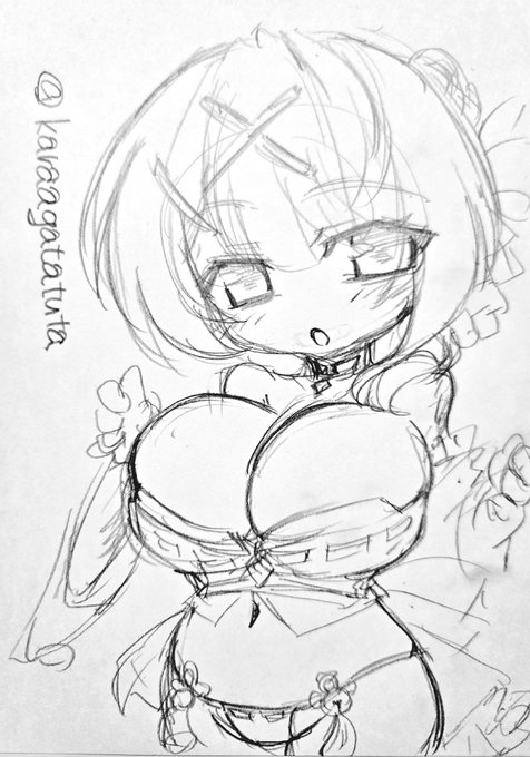 からあげさん
@karaagatatuta 