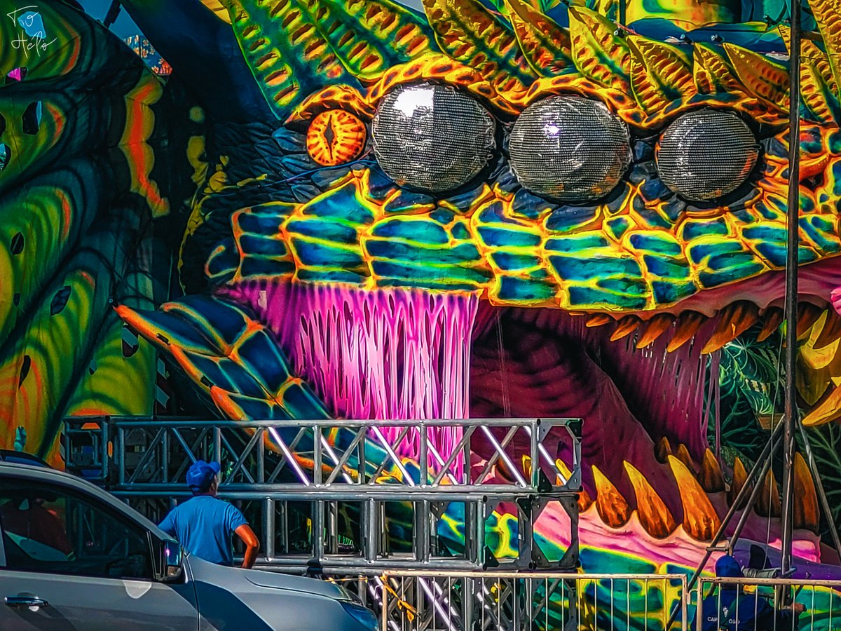 papodetoada's tweet image. Falta pouco! Para aquecer os ânimos, mais registros do ano passado.