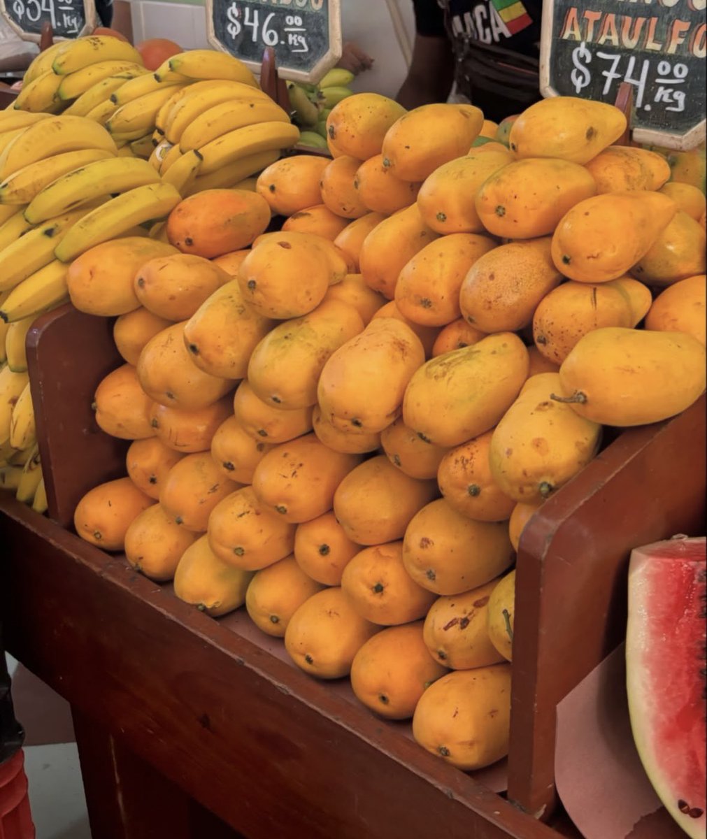 What’s your favourite summer fruit?

Mine is surely mango 🥭!!!

🍊 🍋‍🟩 🍋 🍏🍎🍐🍉🍌🍓🍇🫐🍈🍍🍑🥝🍒🥥🥑🍅🍇🍋