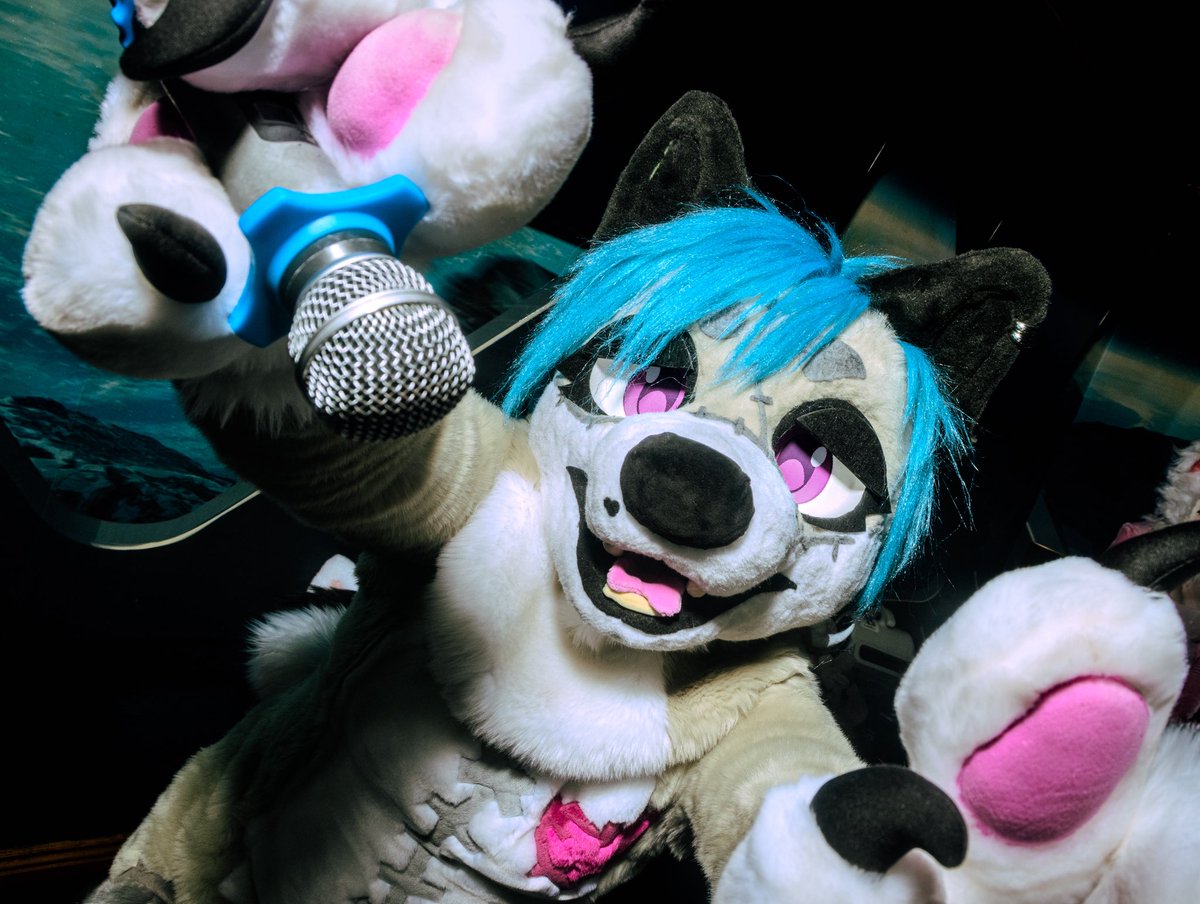 happy fursuit friday … 🐾⭐️