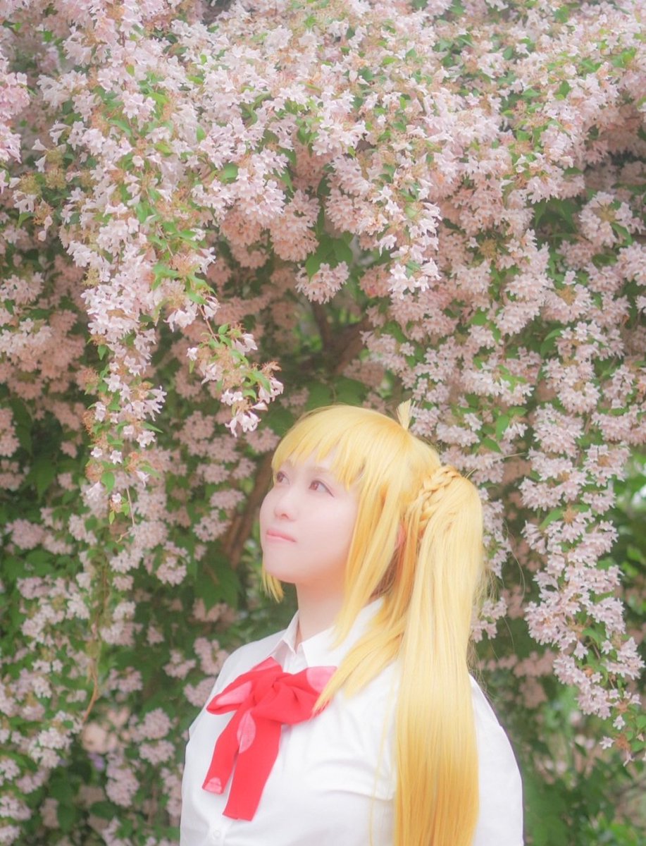 libra_10tk09tk's tweet photo. ※cos※
ぼっち・ざ・ろっく！ / Ijichi Nijika

photo:@6yuuka_cos https://t.co/pxXQXzoRPM