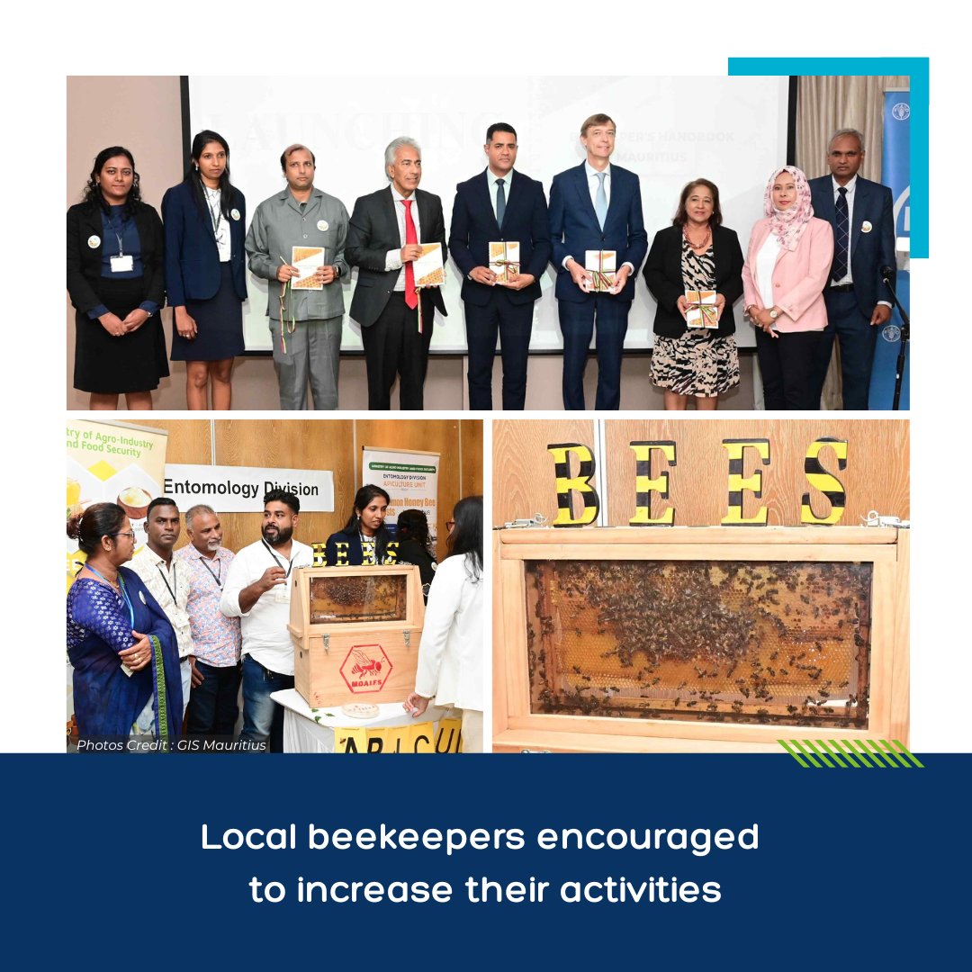 The pivotal need for local beekeepers to focus on premium produce which should be properly marketed by crafting brand specificity as unique local commodities
👉 Read more: govmu.org/EN/Pages/NewsD…