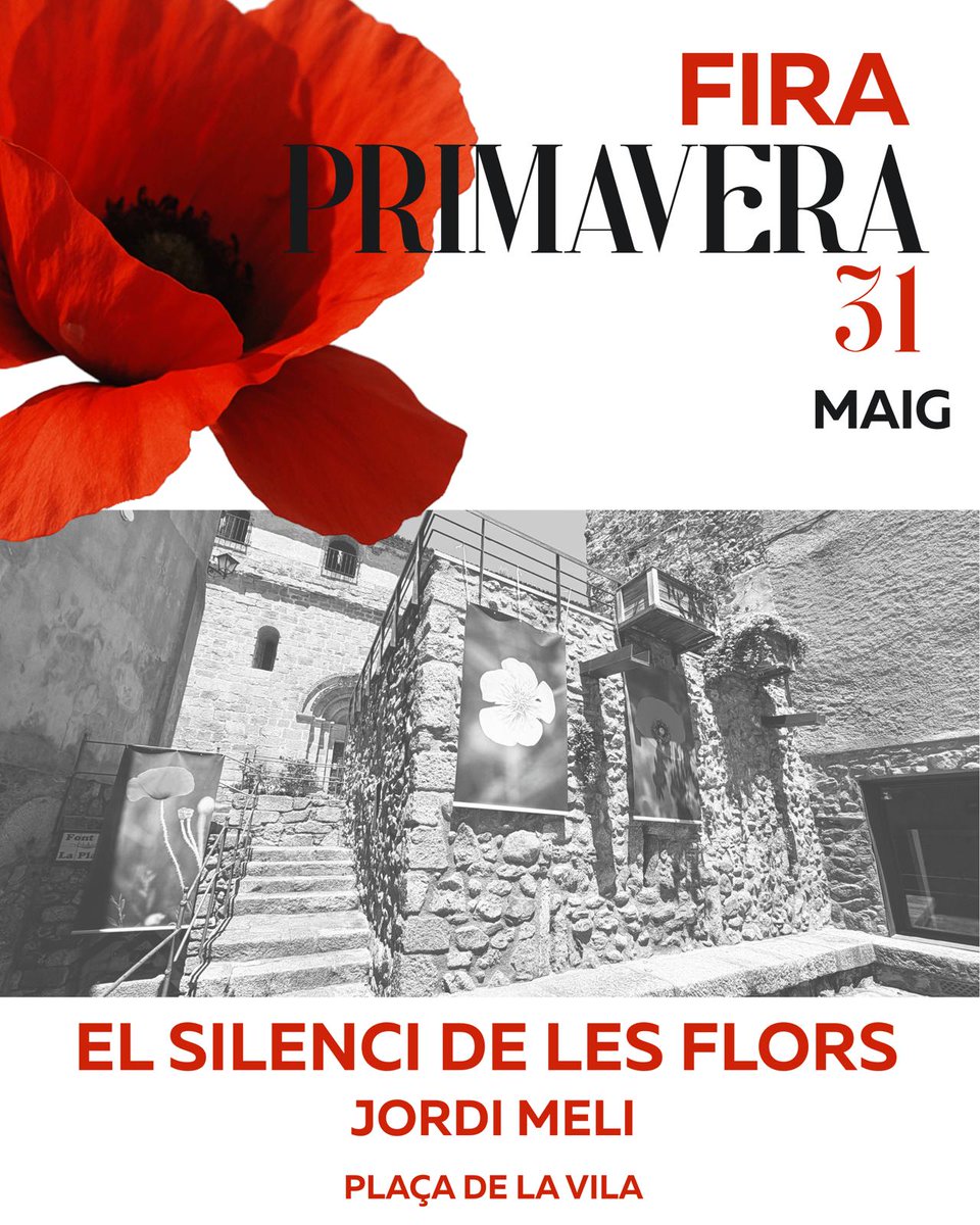 A la Fira d’enguany, l’art també forma part del recorregut. En el tram que uneix la Plaça de la Vila amb la Plaça de l’Església, trobareu unes lones amb fotografies de flors primaverals del fotògraf Jordi Meli, que capturen l’esperit i la bellesa de la natura del nostre entorn.