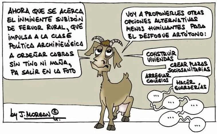 Vicente Llorca (@vicentellorca) on Twitter photo 