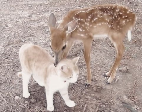 thinkerjas's tweet image. 𝜗𝜚⋆