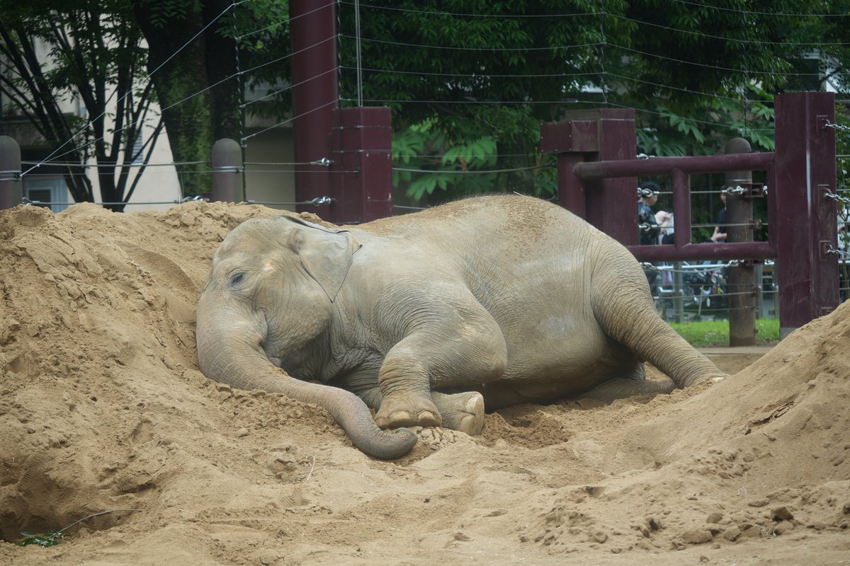 化学実験で4時間ぶっ通しで中和滴定してきやした…
おやすみなさい💤