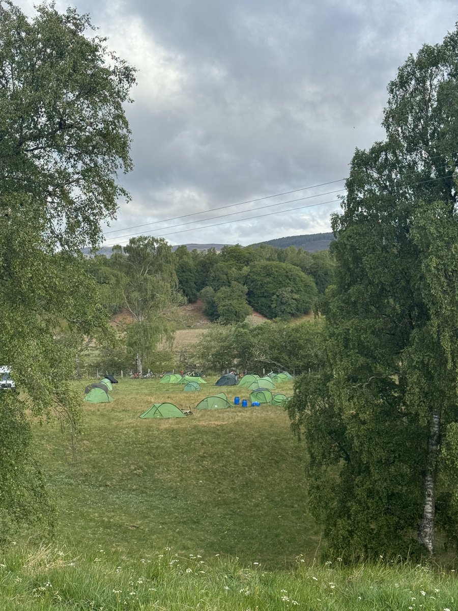 Rewild Scotland 🏴🌳 tweet media