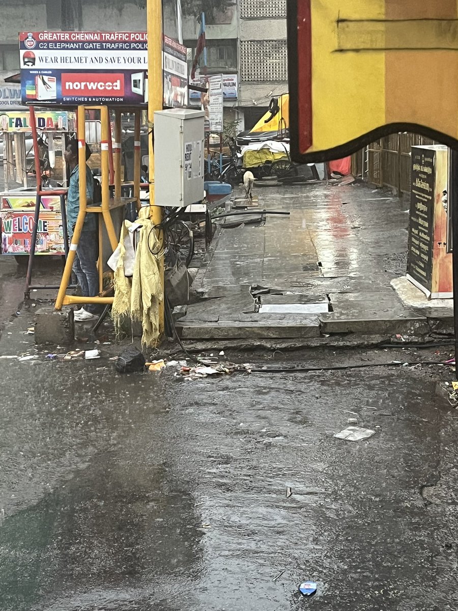 prasanthTriton's tweet photo. @BlueCross_  @chennaicorp Looks  like a dog was abandoned near a pavement opposite to Elephant Gate police station , Chennai. It was chained and left to drench in rain for almost an hour. https://t.co/64tUCKcdtw