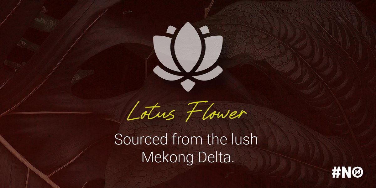 Crafted with rare Vietnamese botanicals, Saigon Baigur is more than gin — it’s a sensory journey. 🌿 

From smoky black cardamom to floral lotus &amp; Buddha’s Hand citrus, every sip tells a story. 🍸🌏

#SaigonBaigur #gin #botanicals