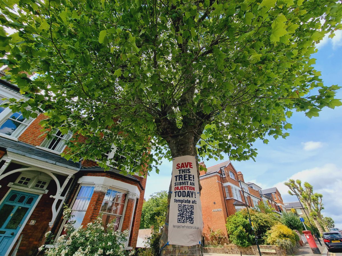 Haringey Tree Protectors tweet media
