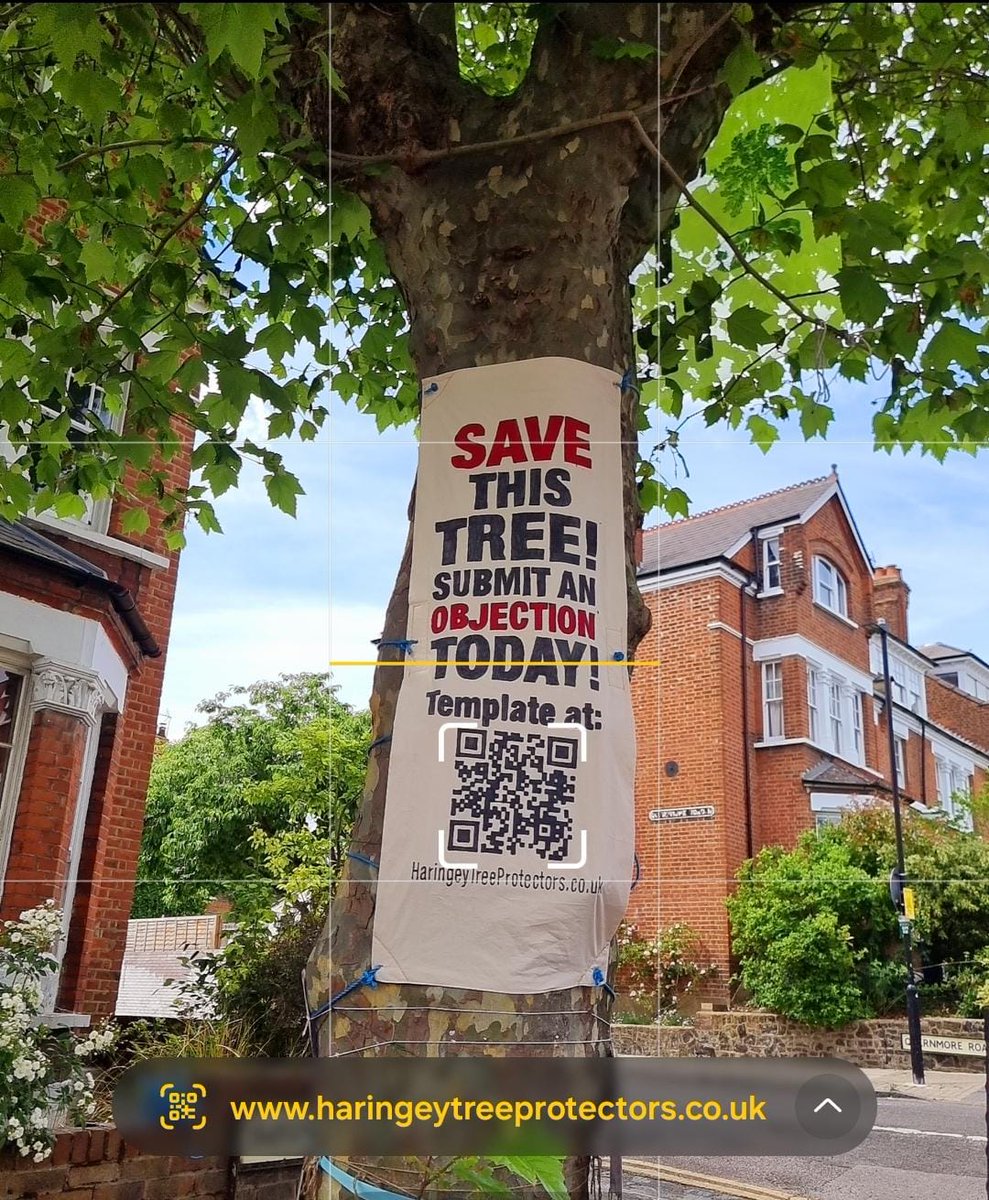 Haringey Tree Protectors tweet media
