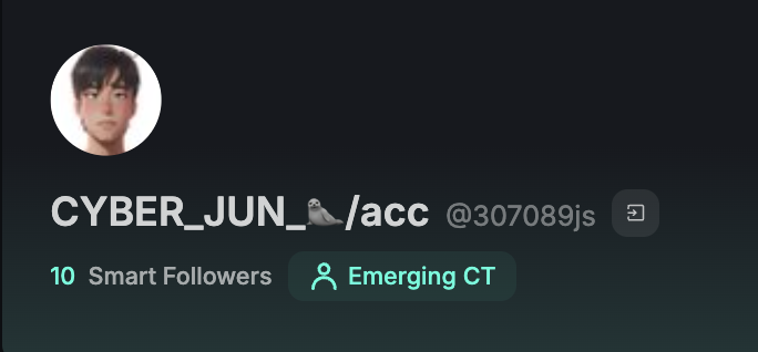 CYBER_JUN 🐯 tweet media